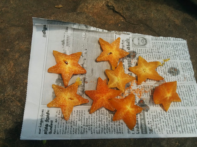 Spicy Star Fruit at Karaiyar