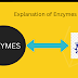 Enzymes | Explanation of Enzymes