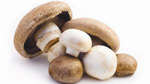 Mushrooms for Delayed Ejaculation