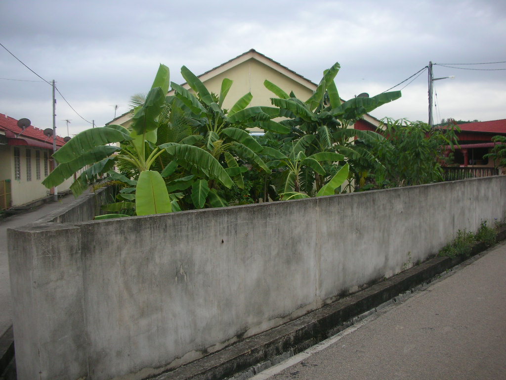 Kedah Property Management: Rumah Setingkat Kos Rendah lot 