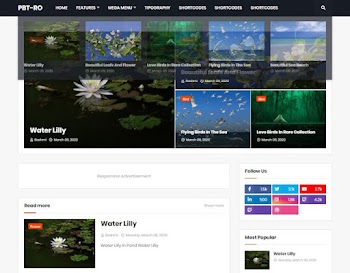 Magify Premium Blogger Template