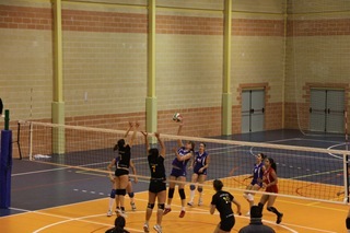 Costa-Daya 2011 (40)