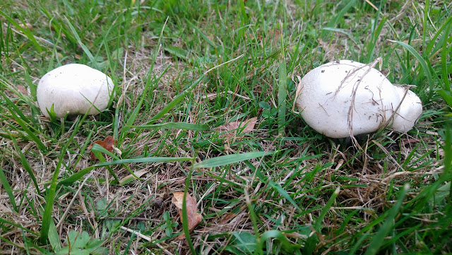 Sauerland wandern Wetter blog Meschede