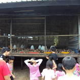 View album