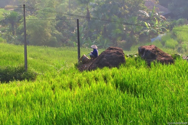 beautiful misty morning landscape at Pu Luong Retreat.