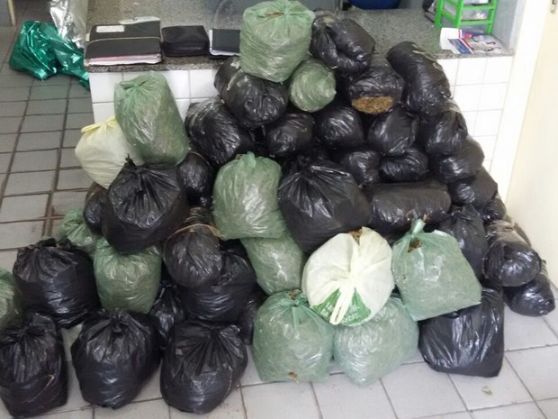 Polícia apreende 80 quilos de maconha após carro que transportava a droga ter capotado