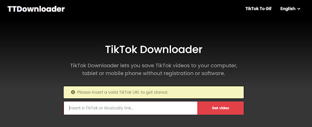 ttdownloader com