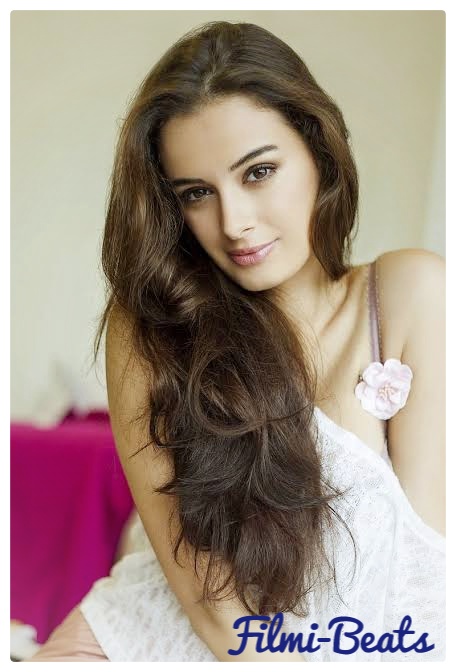 Evelyn Sharma wallpaper & Biography