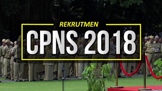 CPNS 2018 dibuka kembali bulan juli PERSIAPKAN !!
