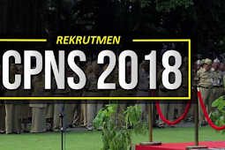 CPNS 2018 dibuka kembali bulan juli PERSIAPKAN !!