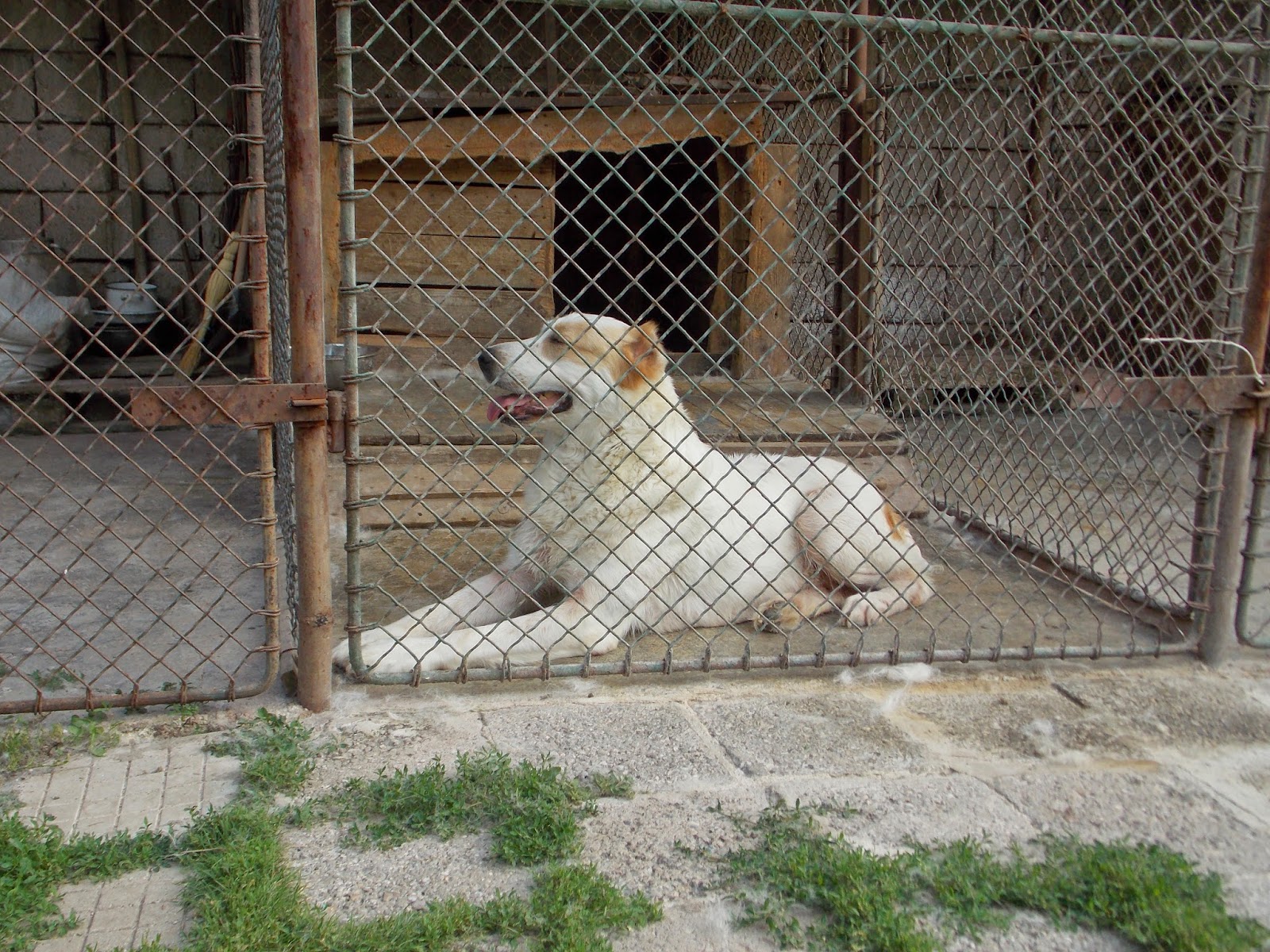  САО