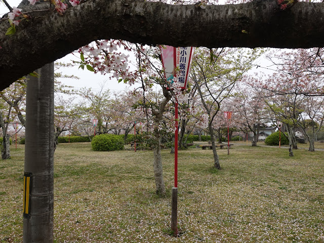 鳥取県西伯郡大山町御来屋　名和公園