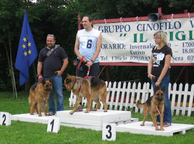 enpa-vimercate-golden-dog