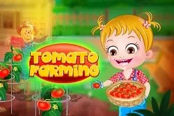 Bebek Elâ Domates Çiftliği - Baby Hazel Tomato Farming