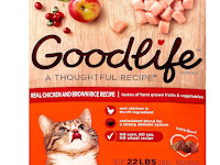 best food for cats health