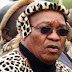 Zuma slaughtered 12 cows to help him keep his job