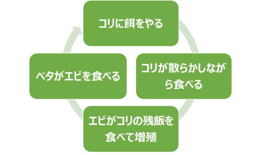 キューブ水槽で食物連鎖ができていた話 Never Catch A Cold