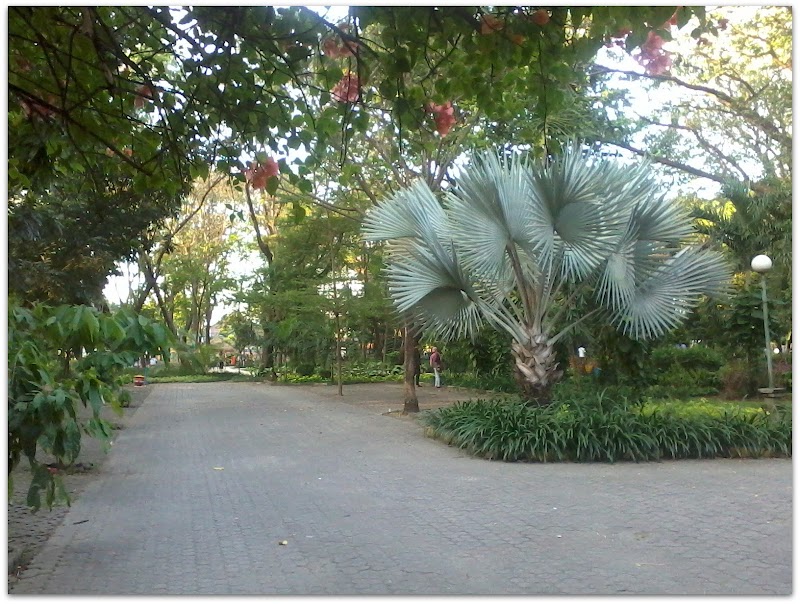 16+ Taman Flora Surabaya, Paling Baru!