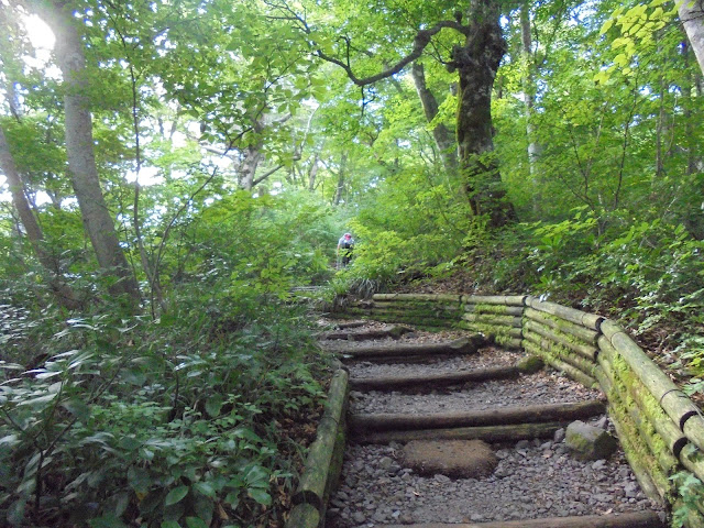 大山夏山登山道