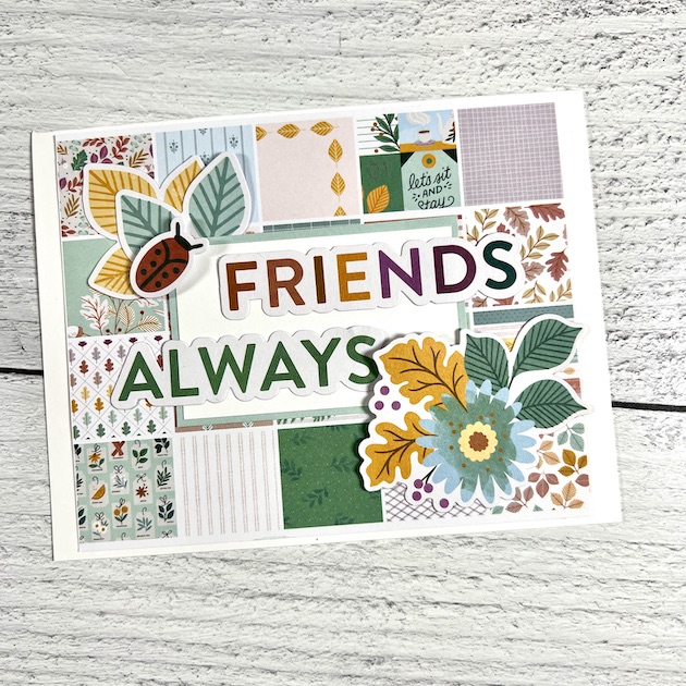 Friend Handmade Card with patterned squares, leaves, and ladybug