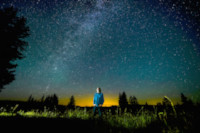 nature-trees-grass-sky-night