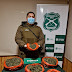 Carabineros y canes detectores del OS7 Ñuble lograron incautar más de 9 mil dosis de droga en control carretero en Pemuco