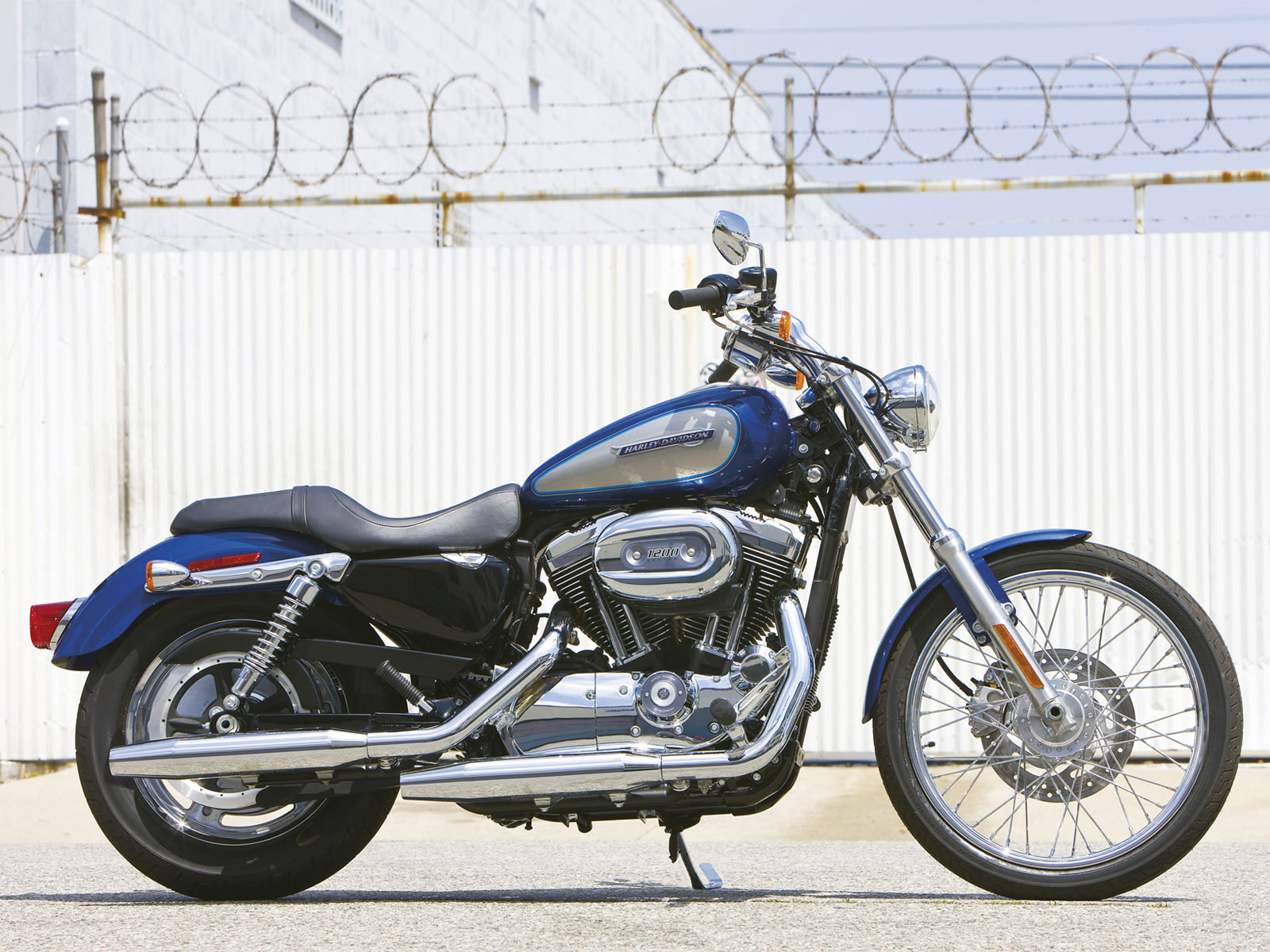  HARLEY  DAVIDSON  XL  1200  C Sportster Custom 2009 