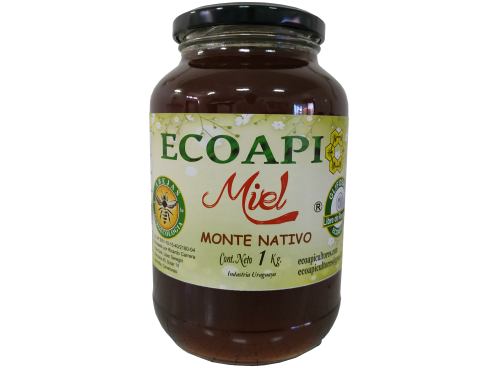 Miel libre de glifosato MONTE NATIVO ECOAPI PURA NATURAL ECOPAICULTORES