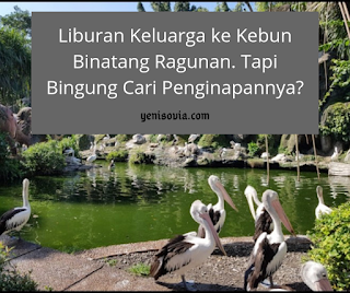 liburan keluarga ke kebun binatang ragunan. tapi bingung cari penginapannya?