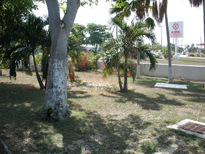 The front yard of Simply Weddings