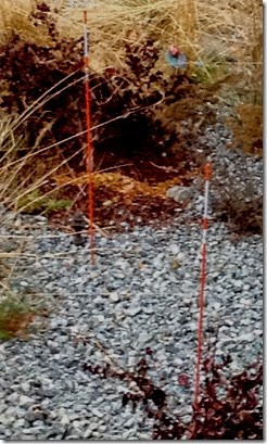 reflective orange poles