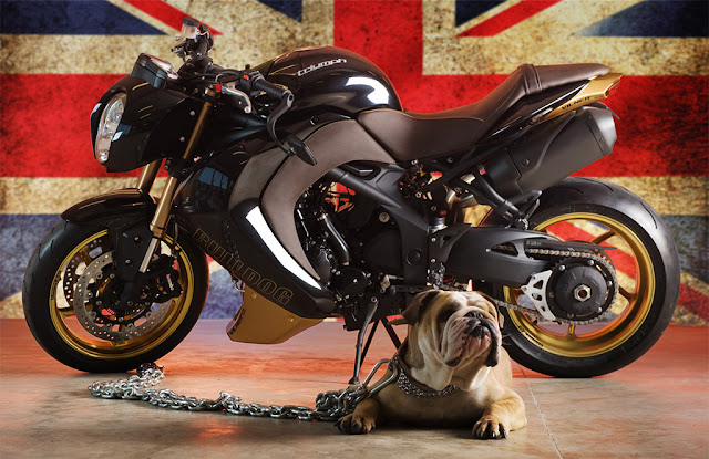 Vilner Triumph Speed Triple Bulldog