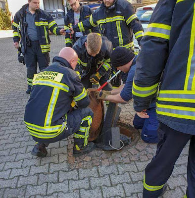 Fat Rat Gets Rescued By Firefighter After Being Stuck In Sewer Grate And Waiting For Help In Vain