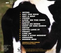 CD Case (back cover): Get a Grip / Aerosmith