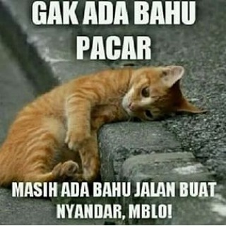 Terbaru 2018 Kumpulan Gambar Kata Lucu Bikin Sakit Perut ...