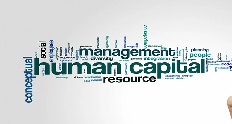 human capital management