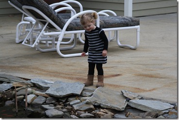 IMG_3176 IMG_3176
