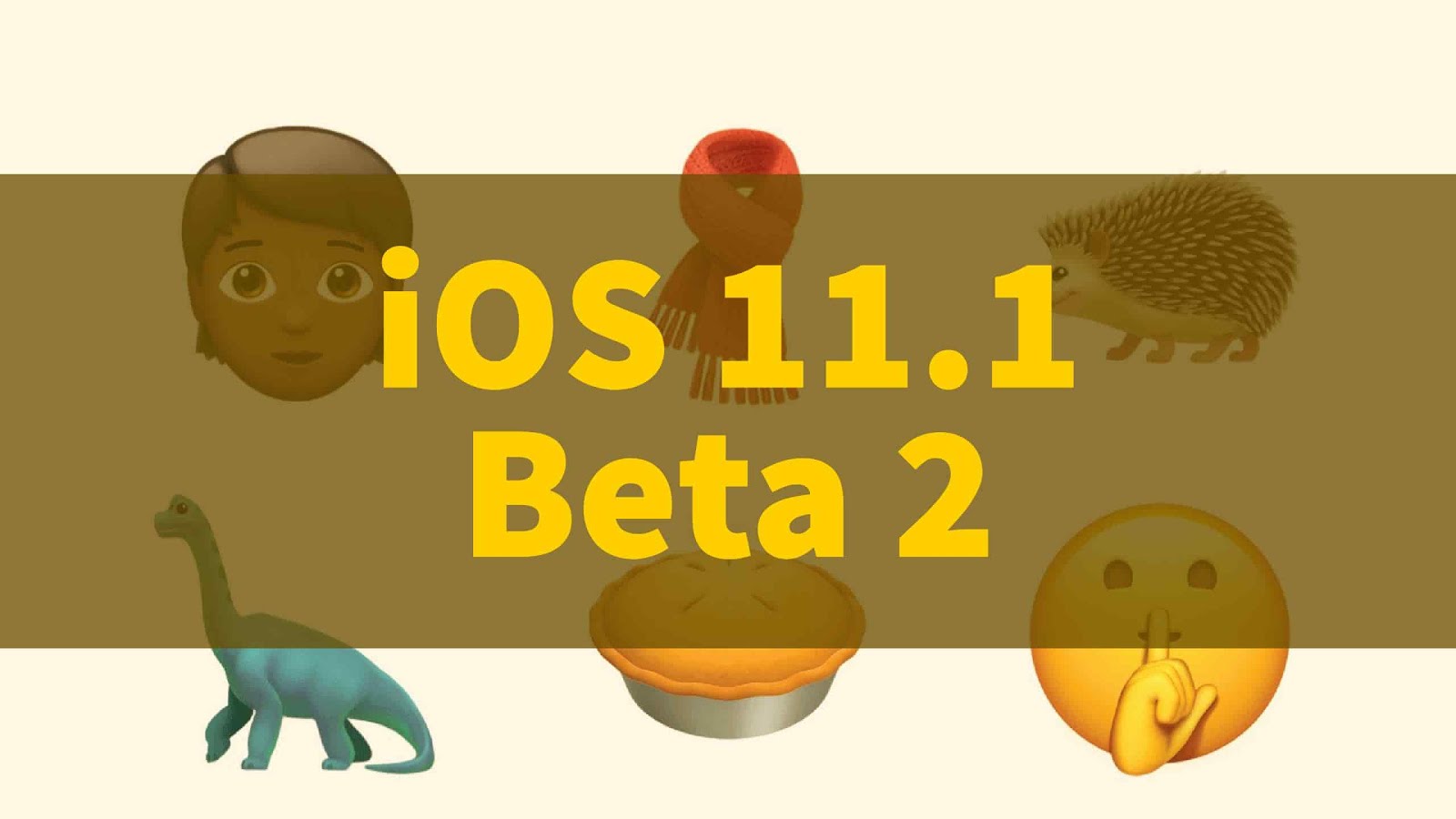 Not a developer? Want to install iOS 11.1 beta 2 on your iPhone/iPad without developer account? You are welcome in this post..