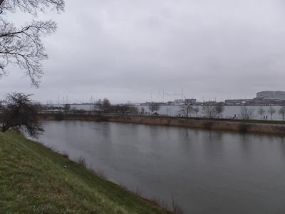 049dev02-DSCF6080