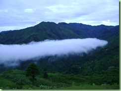 DSC06878