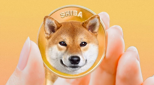 Forget Shiba Inu: This Cryptocurrency Could Make You Rich