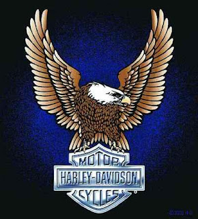 harley davidson eagle logo photo