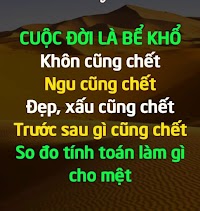 Cuộc đời là bể khổ so đo đó làm gì cho mệt