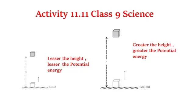 Activity 11.11 Class 9 Science Chapter 11 Work and Energy