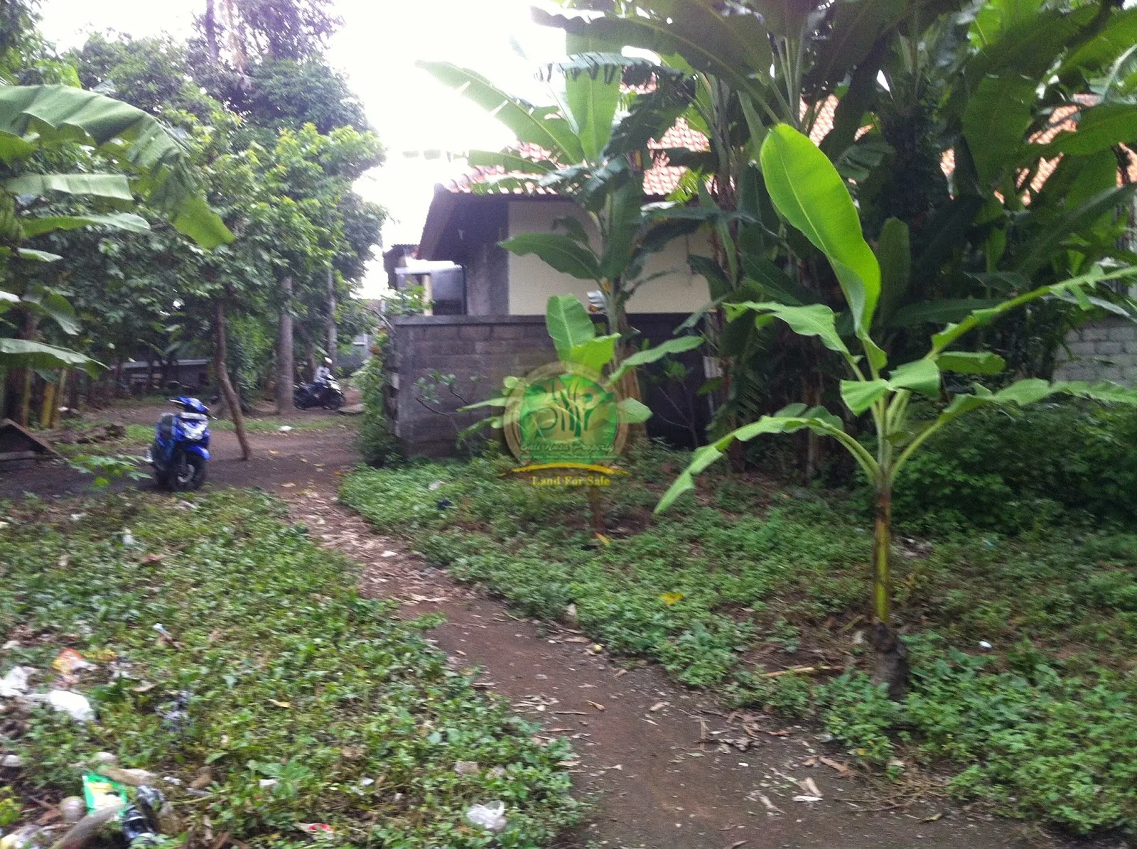Tanah murah di Denpasar