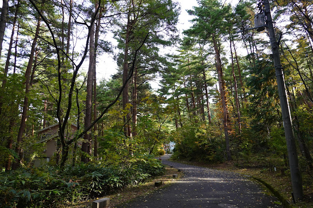 鳥取県西伯郡伯耆町丸山　ロイヤルシティ大山　別荘地