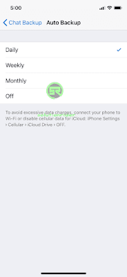 WhatsApp Auto Backup Frequency solutionrider