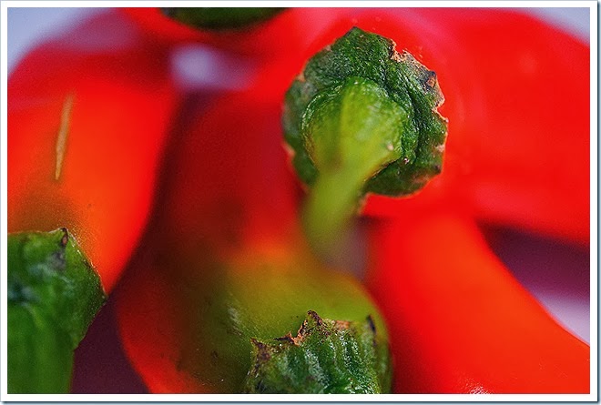 Korean-pepper-free-pictures-1 (1827) Korean-pepper-free-pictures-1 (1827)