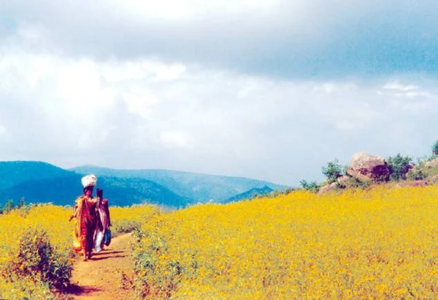 Araku Valley