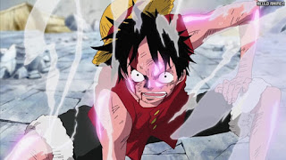 ワンピース アニメ エニエスロビー編 309話 ルフィ かっこいい Monkey D. Luffy | ONE PIECE Episode 309 Enies Lobby